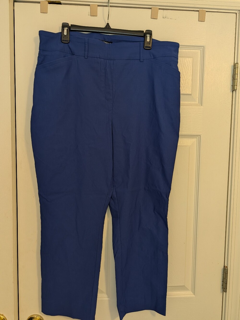 Hilary Radley Blue Ankle Pants NWOT
